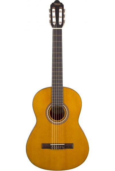 Valencia VC204 Klasik Gitar